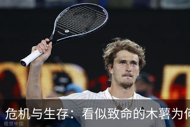 危机与生存：看似致命的木薯为何成千上万人的主食